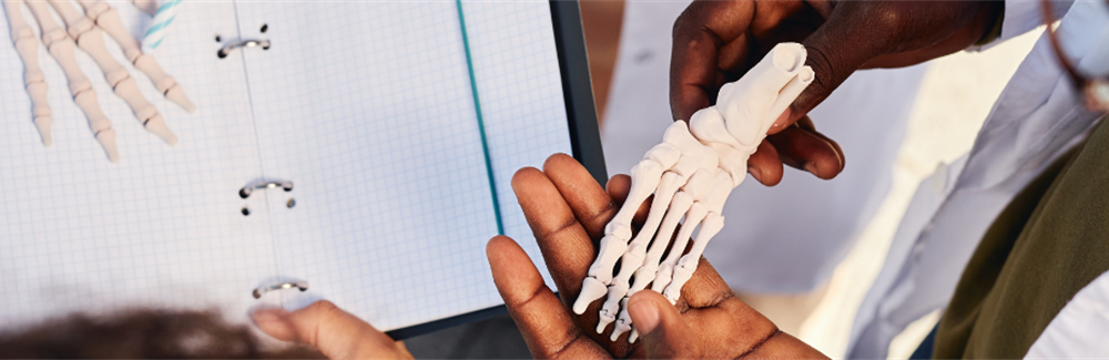 Osteopathic Medical Schools Warn of Fallout From Federal Shutdown