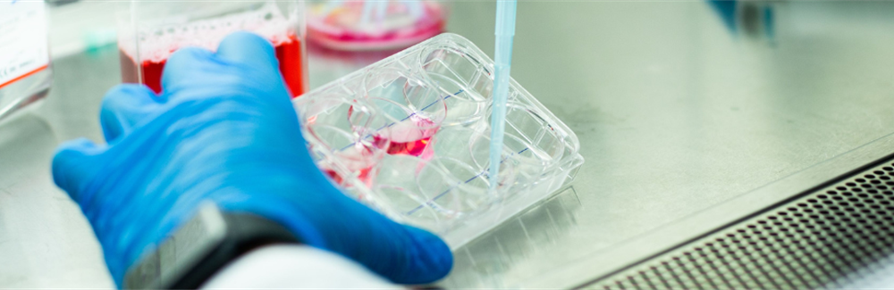 Florida Senate Mandates Sickle-cell Continuing Education for Certain Health Professionals