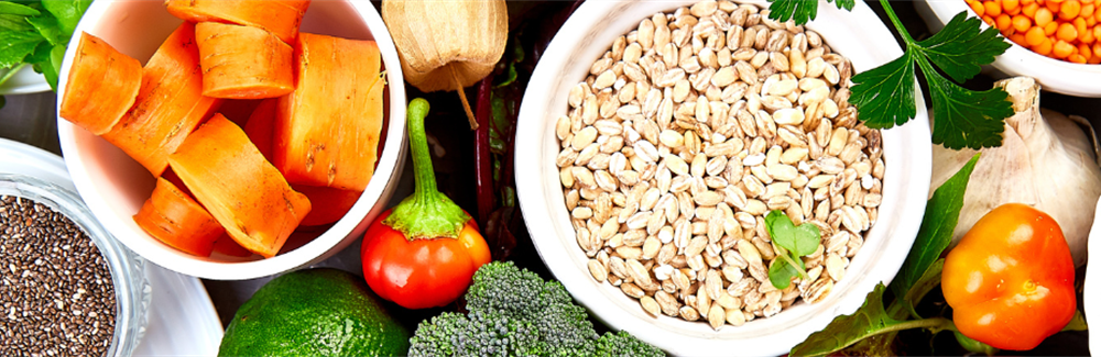 Nutrition in Geriatrics-focused Continuing Medical Education