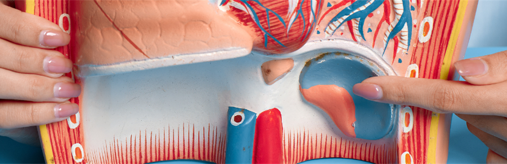 Impact of Short-term Online Continuing Education on Gastroesophageal Reflux Disease on the Cognitive Level and Diagnostic and Therapeutic Behaviors of Physicians in Medical Consortiums