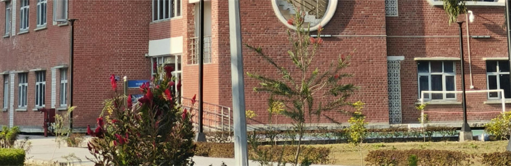 Real Outcomes: Stony Brook University Renaissance School of Medicine