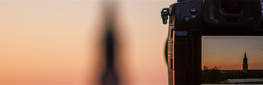 The Almanac 2021 Snapshot