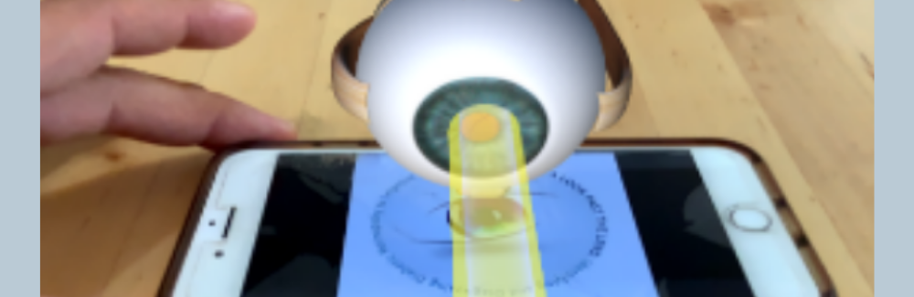 2021 Pioneer Award for Breaking New Ground in Your CPD Program: Bringing the VR Room to Your Living Room