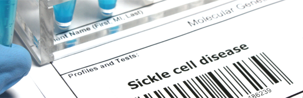 Adherence Unveiled: A Concept Analysis of Medication Adherence in Adult Patients with Sickle Cell Disease
