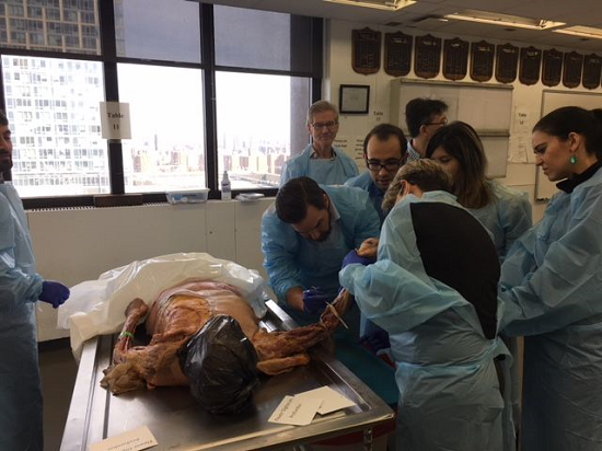 Anatomy Lab the anatomy lab.png